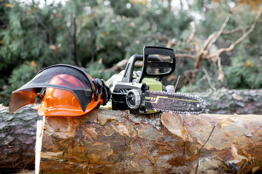 How Tree Cutting Services Reduce Fire Hazards On Properties Townsend, GA How Tree Cutting Services Reduce Fire Hazards On Properties Townsend, GA