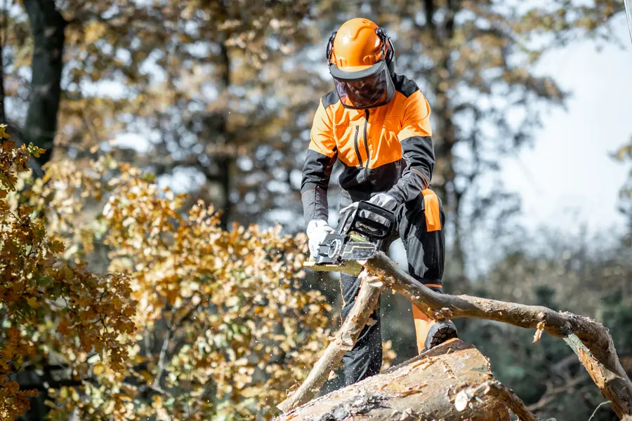 Why You Should Hire Professionals For Tree Cutting Townsend, GA Why You Should Hire Professionals For Tree Cutting Townsend, GA