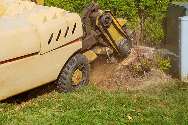 Stump Removal